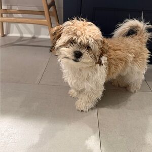 Meet your Posher, Evelyn